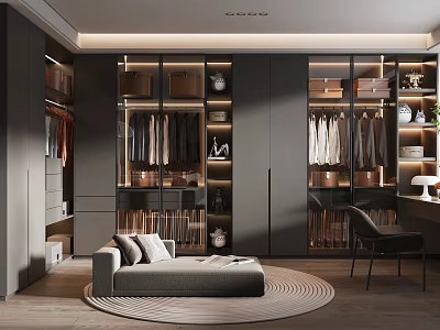 Luxury Walk in Closet Interior Design With Dark Glass Doors Sofa And Round Rug 3d model