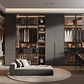 Luxury Walk in Closet Interior Design With Dark Glass Doors Sofa And Round Rug