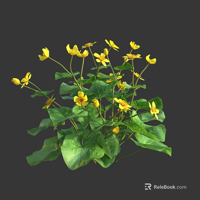 Vibrant Yellow Flowers With Lush Green Leaves Growing On Healthy Garden Plant 3d model 