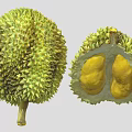 Fresh Whole and Cut Open Durian Fruit with Spiky Exterior and Yellow Flesh