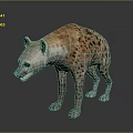 Realistic Hyena 3D Model Standing On Dark Background Spotted Body Mouth Slightly Open Showing Teeth