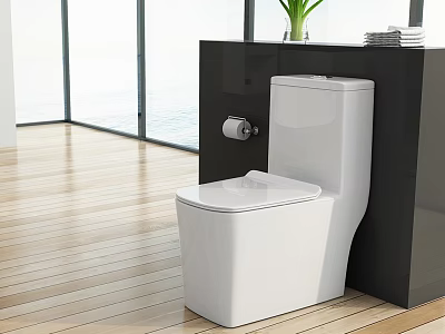 Bright Modern Bathroom With White Toilet Black Wall Wooden Floor Natural Light And Green Plant 3d model