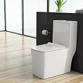 Bright Modern Bathroom With White Toilet Black Wall Wooden Floor Natural Light And Green Plant