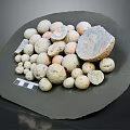 Natural Stone and Wooden Tray Collection with Assorted Sizes Colors and Ruler