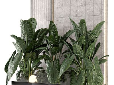 Plant Wall model