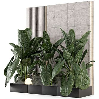 Plant Wall 3d model