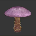 Purple Mushroom Plant with Umbrella Shaped Cap and Speckled Surface in Vibrant Purple Hue