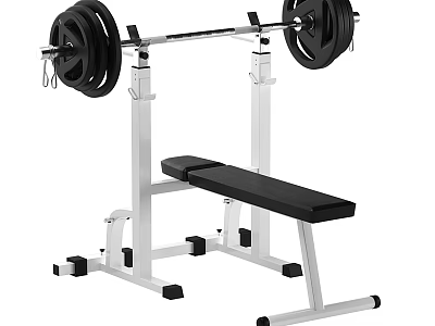 Sturdy Home Gym Bench Press Equipment With Barbell And Adjustable Bench 3d model