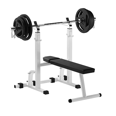 Sturdy Home Gym Bench Press Equipment With Barbell And Adjustable Bench 3d model