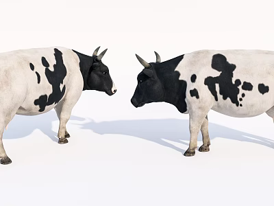 Black And White Reptiles Standing Face To Face On White Background 3d model