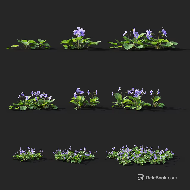 Purple Flowers With Green Leaves In Various Growth Forms For Garden Decoration 3d model 