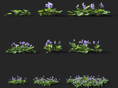 Purple Flowers With Green Leaves In Various Growth Forms For Garden Decoration 3d model