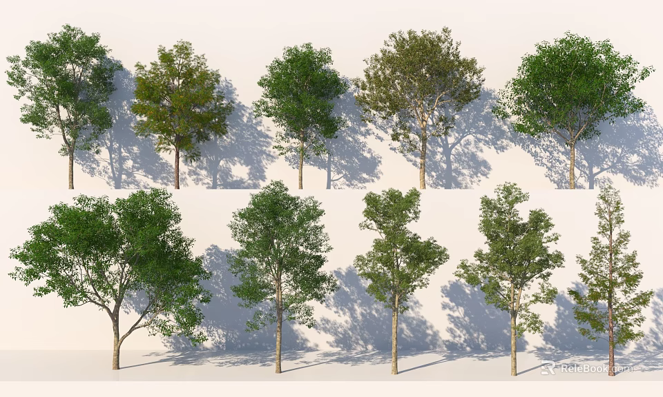 Various Arbor Types With Lush Green Foliage Trunks And Shadows In White Setting 3d model