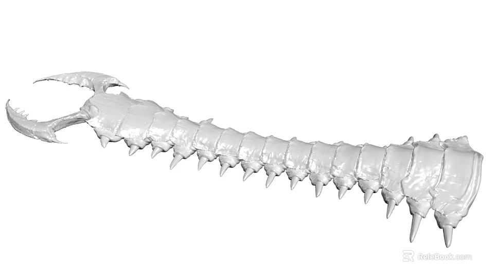 3D Rendered Centipede Model With White Segmented Body And Sharp Spikes 3d model 