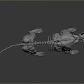 Detailed Dog Skeleton 3D Model With Realistic Bone Structure And Digital Rendering