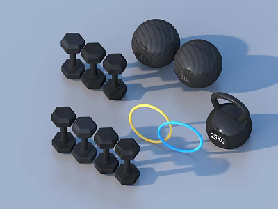 Essential Home Gym Sports Equipment Including Dumbbells Medicine Balls Kettlebell And Resistance Rings 3d model