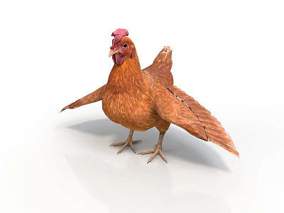Brown Chicken With Red Comb And Spread Wings Standing On White Background 3d model
