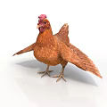 Brown Chicken With Red Comb And Spread Wings Standing On White Background