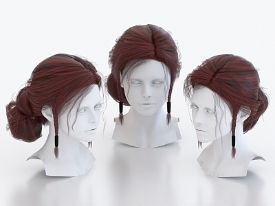 Hair Wig Hairstyle Long Hair Head 3d model