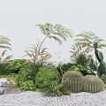 Lush Green Plants Collection Featuring Cacti Ferns And Grass Tufts With Rocks On Sandy Ground