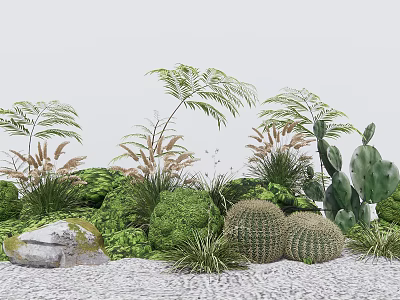 Lush Green Plants Collection Featuring Cacti Ferns And Grass Tufts With Rocks On Sandy Ground 3d model