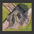 Ancient Historical Stone Building Ruins Featuring Ruined Walls And Green Grass
