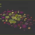 Diverse Plants Collection With Colorful Leaves Various Shapes And Small Herbs