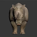 Brown Rhinoceros Standing On Smooth Surface With Reflection In Dark Background 3d model