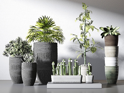 Green Plant Potted Plant Pot Indoor Green Plant Indoor Potted Plant 3d model