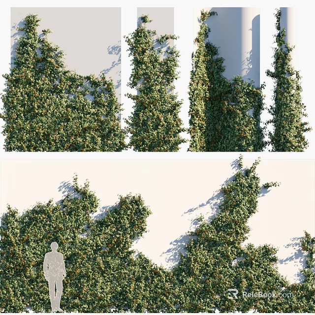 Vine Climbing White Wall With Lush Green Leaves Human Silhouette And Natural Growth 3d model 