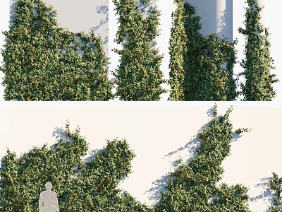 Vine Climbing White Wall With Lush Green Leaves Human Silhouette And Natural Growth 3d model