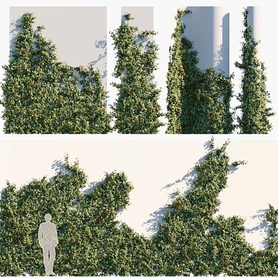 Vine Climbing White Wall With Lush Green Leaves Human Silhouette And Natural Growth 3d model