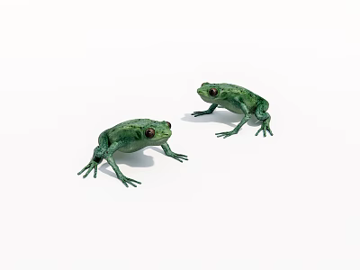 Realistic Two Green Frog Figurines With Detailed Features On White Background 3d model