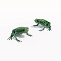 Realistic Two Green Frog Figurines With Detailed Features On White Background