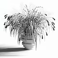 Bonsai Potted Plant With Slender Green Leaves In White Ceramic Pot