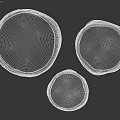 Textured Stone Planters In Three Various Sizes For Architectural Decoration