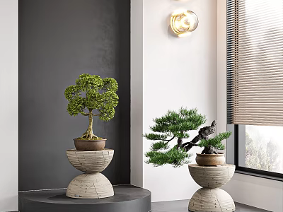 Bonsai Plants On Stone Pedestals In Modern Interior With Grey Wall And Window Blinds 3d model