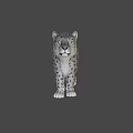 Realistic Snow Leopard 3D Model With Detailed Fur And Lifelike Features 3d model