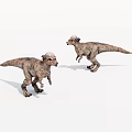 Two Realistic Feathered Dinosaur Models With Dynamic Poses On White Background 3d model