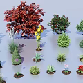 Diverse Outdoor Plant Combination with Red Leaf Trees Green Shrubs and Small Flowering Plants