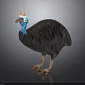 Cassowary Bird With Blue Neck Red Casque And Dark Feathers On Black Background
