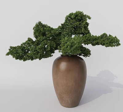 Bonsai Plant with Lush Green Foliage Placed in Brown Ceramic Vase on Gray Background 3d model