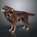 3D Rendered Wolf Standing Pose With Unique Fur Pattern Red Black Accents On Dark Background