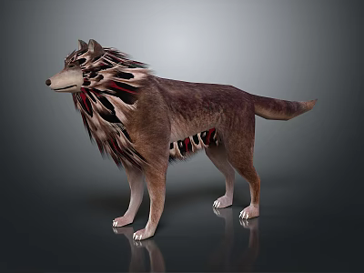 3D Rendered Wolf Standing Pose With Unique Fur Pattern Red Black Accents On Dark Background 3d model