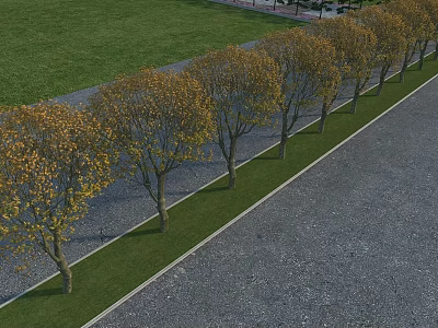 Deciduous Trees In Row With Yellow Leaves Along Grass And Paved Road 3d model