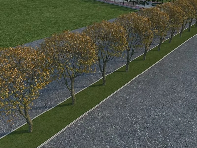 Deciduous Trees In Row With Yellow Leaves Along Grass And Paved Road 3d model