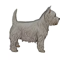 White West Highland Terrier Dog Standing With Shaggy Fur And Alert Ears