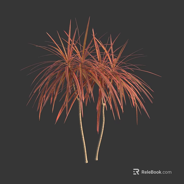 Tall Tropical Trees With Reddish Brown Feathery Leaves And Slender Trunks 3d model 