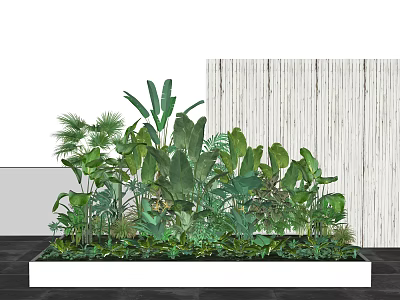 Lush Green Tropical Plants in White Rectangular Planter with Wooden Wall 3d model
