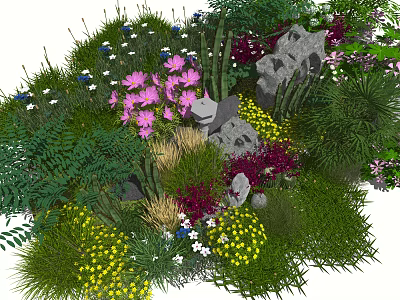 Lush Diverse Flower Garden With Pink Purple Yellow Blooms Green Ferns And Stones 3d model